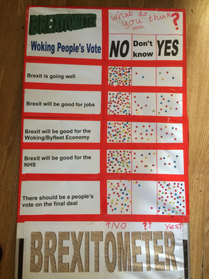 Image courtesy of Woking Lib Dems Woking People's vote Brexitometer