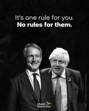 Image courtesy of Liberal Democrats One Rule for them Owen Patterson and Boris Johnson