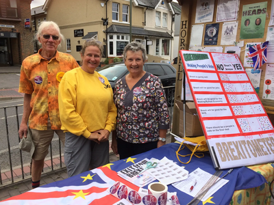 Image courtesy of Woking Lib Dems Horsell Exit from Brexit stall