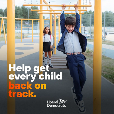 Image courtesy of Liberal Democrats Kids - catchup swings